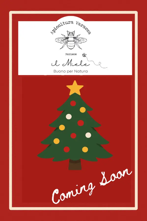 BIRRA DI NATALE - EDIZIONE LIMITATA (cooming soon)